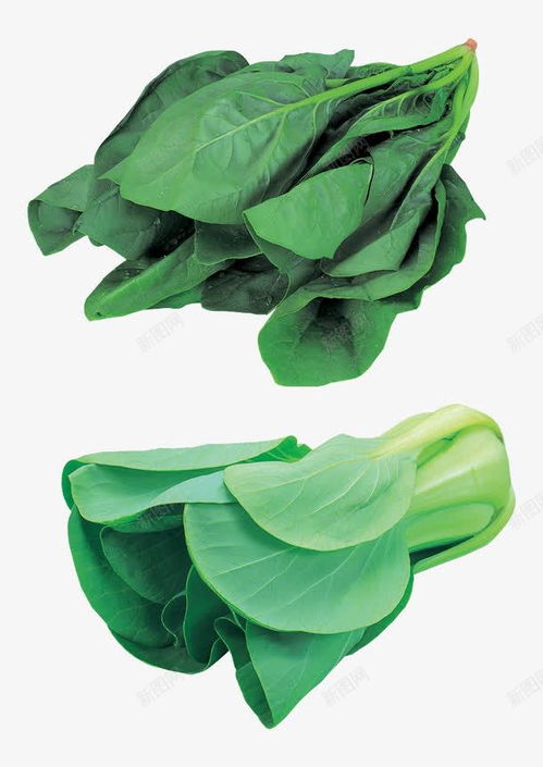 綠色蔬菜高清素材 打造自然清新的電商設(shè)計(jì)與平面創(chuàng)意